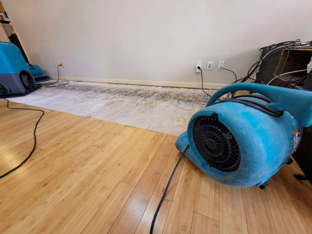 Professional Structural Drying technician working in Osteen, FL